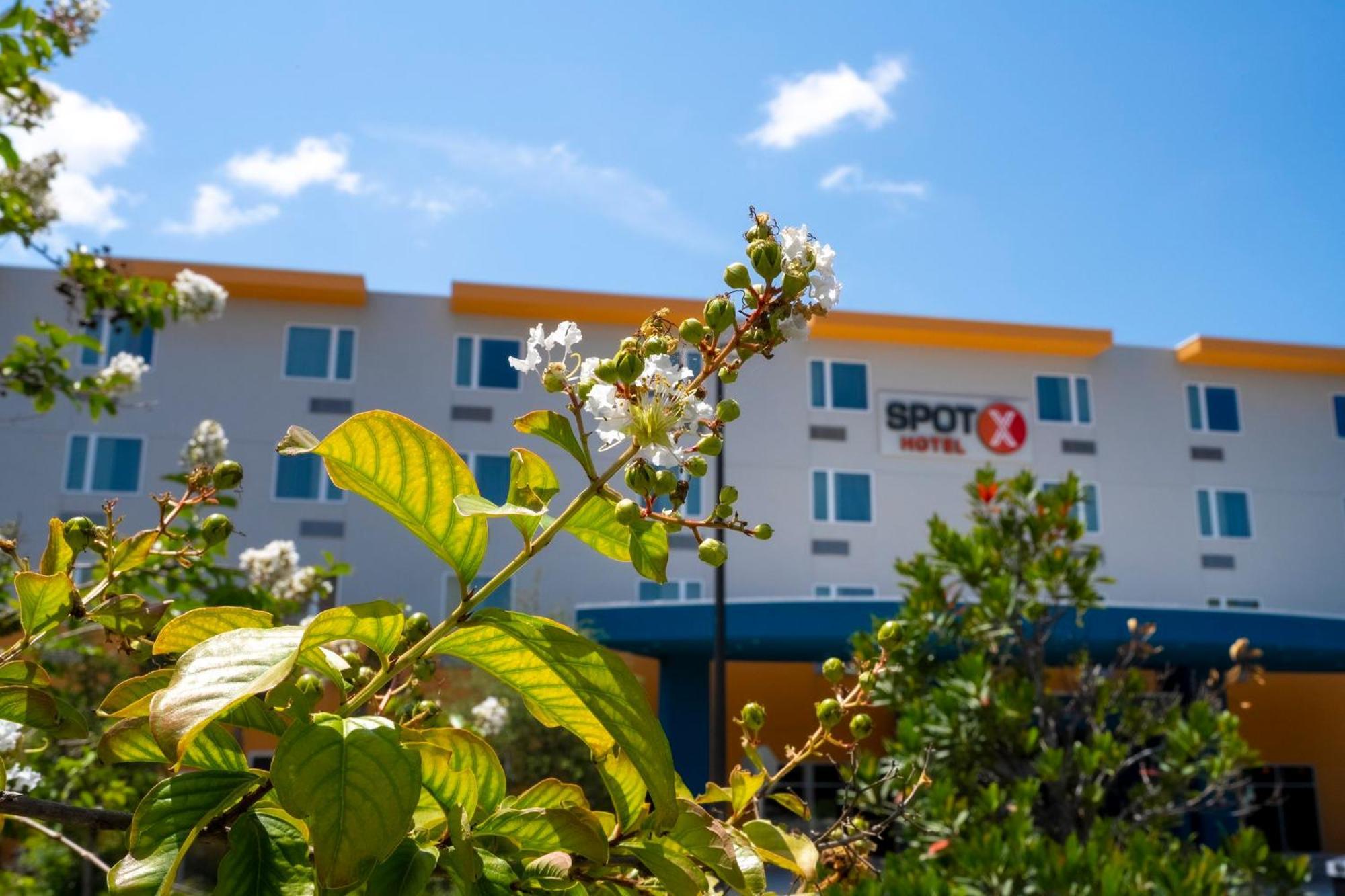 Spot X Hotel Orlando Intl Dr By The Red Collection Lake Buena Vista Exterior foto